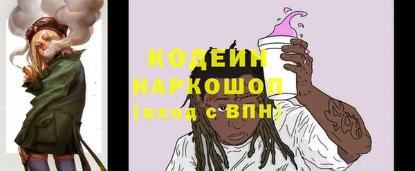 индика Аркадак
