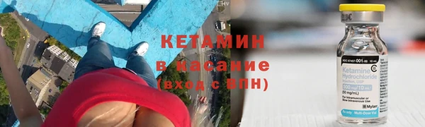 индика Аркадак