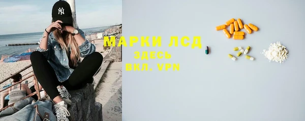 индика Аркадак