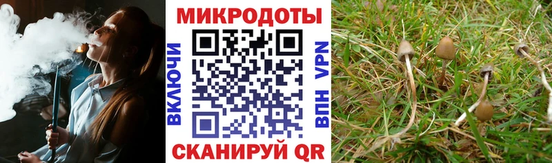 Галлюциногенные грибы Cubensis  Купить закладки  Жигулёвск 
